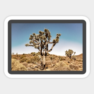 Joshua Tree National Park California Sticker